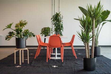 Ý TƯỞNG ĐỘC ĐÁO ĐỂ THIẾT KẾ PHÒNG KHÁCH ĐẸP