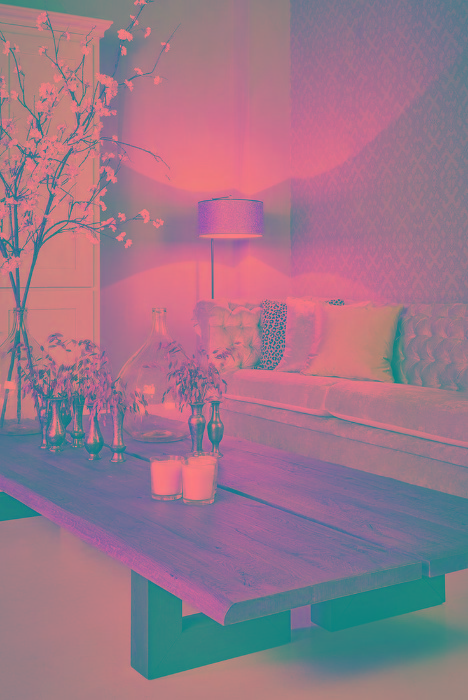 Trang trí cây xanh trong phòng khách 08