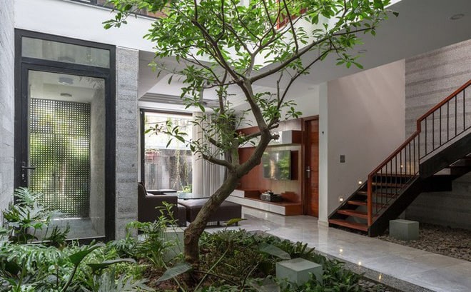 Thiết kế nhà phố theo tiểu chuẩn xanh - 01