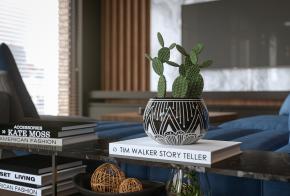 Đầy đủ tiện nghi với mẫu thiết kế căn hộ penthouse